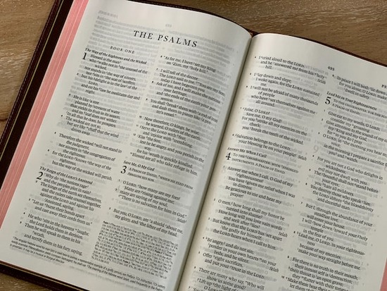 Psalms A Bible open to the Psalms, most of which were written by David